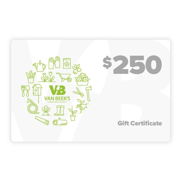 $250.00 VB Gift Certificate